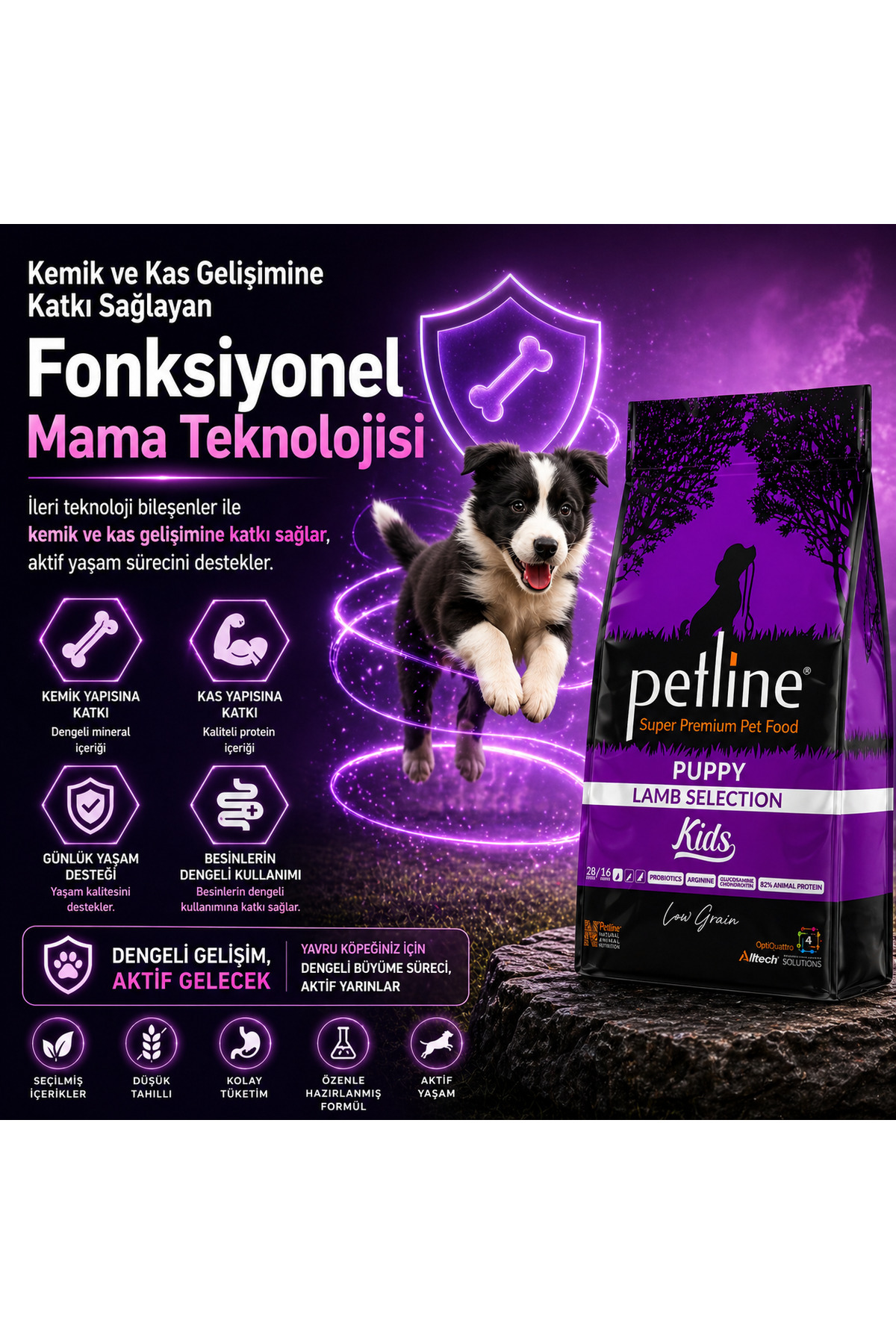Petline Kemik Ve Kas Gelişimini Destekleyici Kuzu Etli Yavru Köpek Maması 3 Kg - Kids - Fiyatı, Yorumları