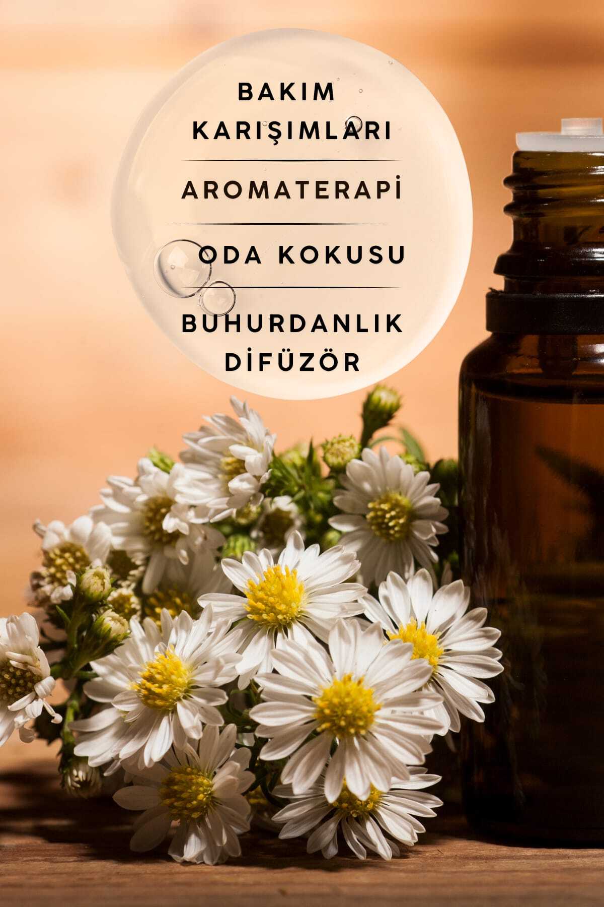 Papatya Yağı 20 ml — P129S4513 — تصویر 4 از 6