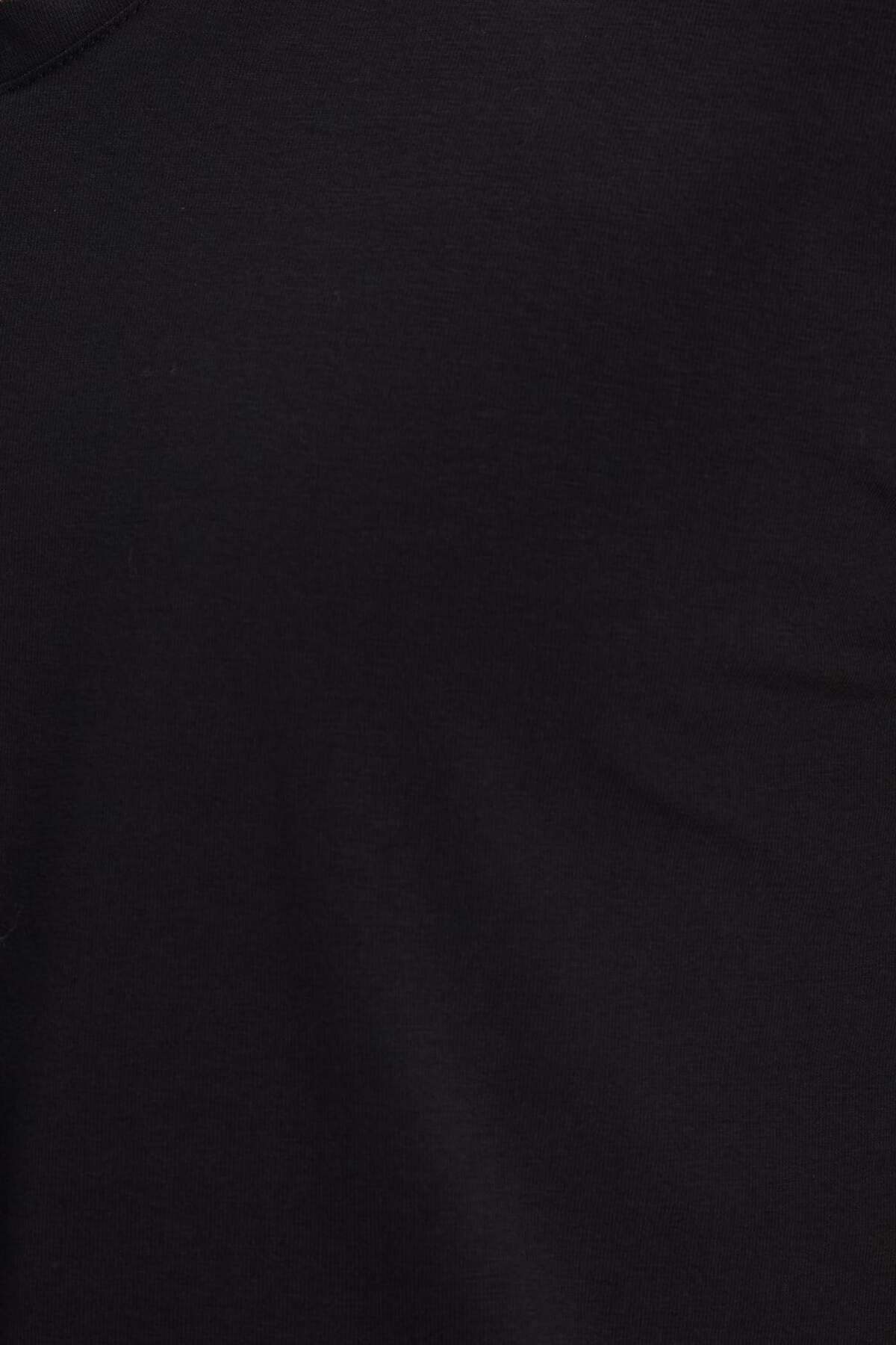 Tudors Erkek Slim Fit Dar Kesim Pamuklu Yumuşak Dokulu Likralı Esnek Kumaş Düz Basic Siyah V Yaka Tişört görsel 6