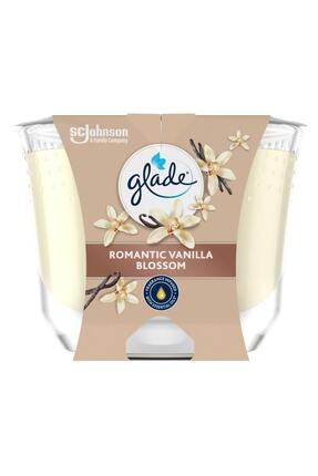 Glade Büyük Mum Vanilya Kokulu Mum, Tek Fitilli, 204 g, Esansiyel Yağ İçeren ...