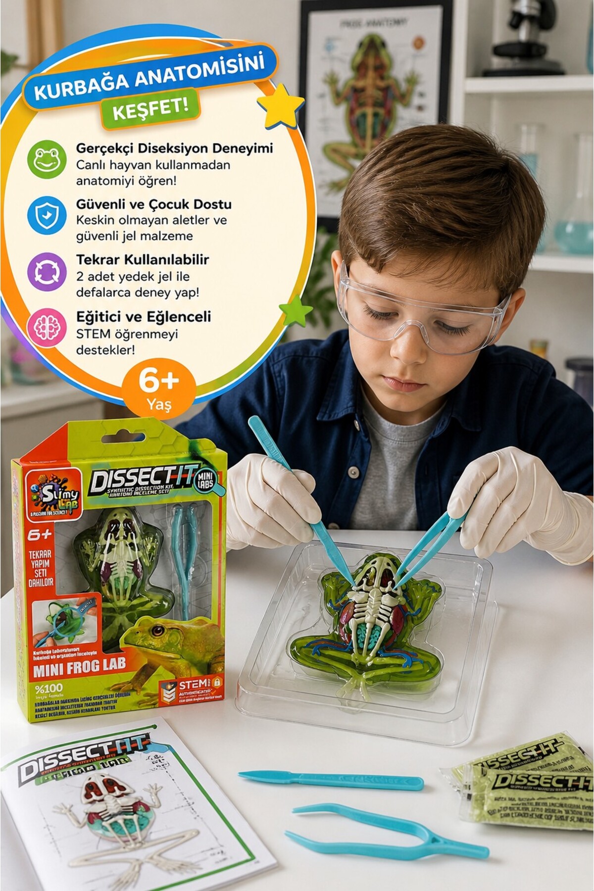 Toyfest Dissect It Mini Frog Lab Kurbağa Deney Seti Stem Oyuncak