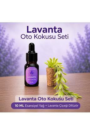 Mi-ÇA HOME Lavanta Araç Kokusu Seti Sarkan Çiçekli Mantar Oto Kokusu 10 ML Es...