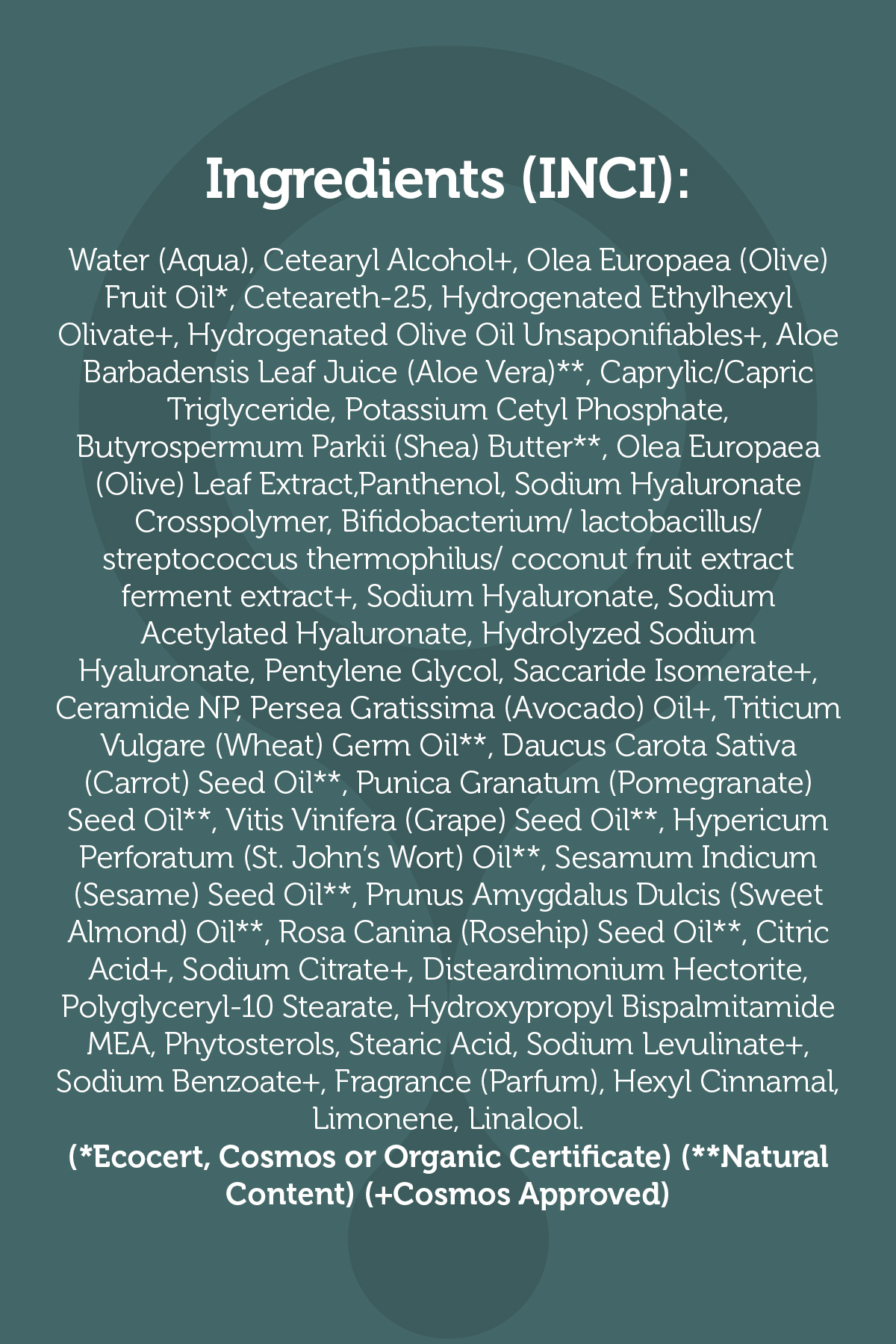 El ve Vücut Losyonu 300ml – Yoğun Nemlendirici Bariyer Destekleyici Vegan (%3 Organik Zeytinyağı) — VIT100 — تصویر 4 از 6