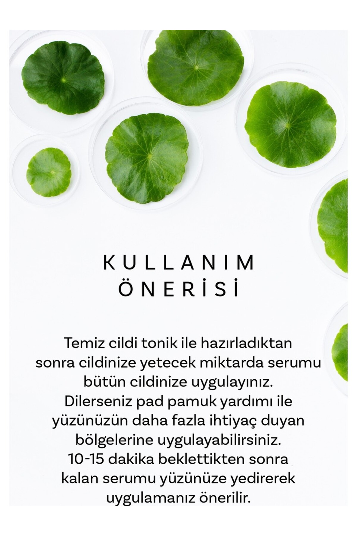 Cıca X Mide Centella Asiatica Özlü Temizleme Yağı ve Serumu — DERMALCİCASET02 — تصویر 4 از 8
