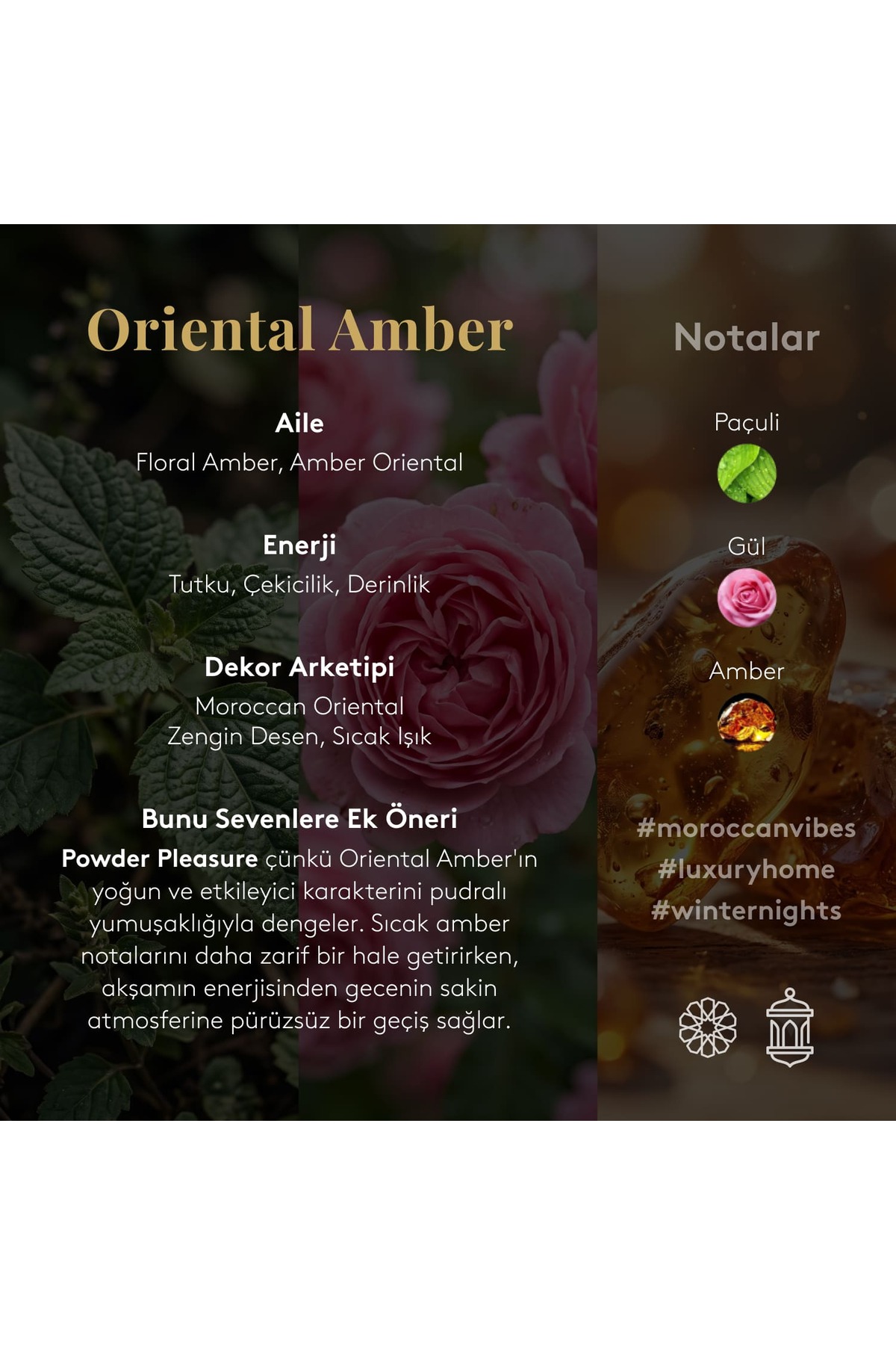 El Kremi 30 ML Oriental Amber — CD212KOZ002 — تصویر 4 از 5