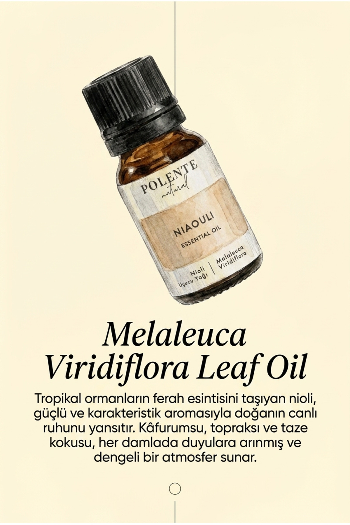 Niaouli (Nioli) Uçucu Yağı (10 ml) — تصویر 2 از 3