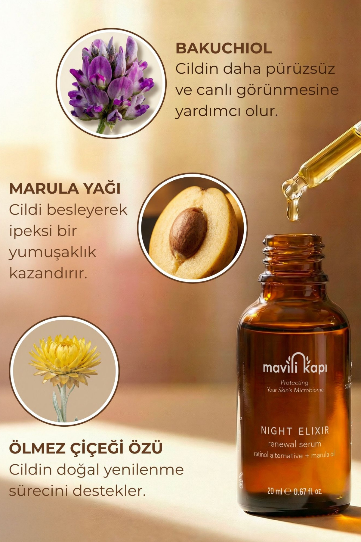 Night Elixir Yenileyici Gece Serumu | Doğal Retinol Alternatifi Bakuchiol 20 ml Tüm Ciltler için — 8682079417983 — تصویر 5 از 9