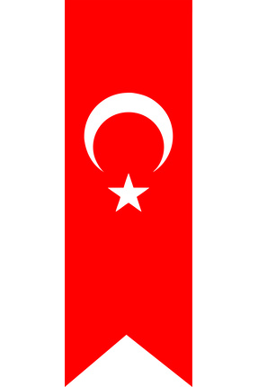 MAVİ DENİZ REKLAM TÜRK BAYRAĞI KIRLLANGIÇ 70X210 CM