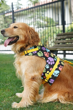 Patipatron Kaçış Önleyici Köpek Göğüs Tasma Seti Küçük Irk Ve Büyük Irk Köpek...