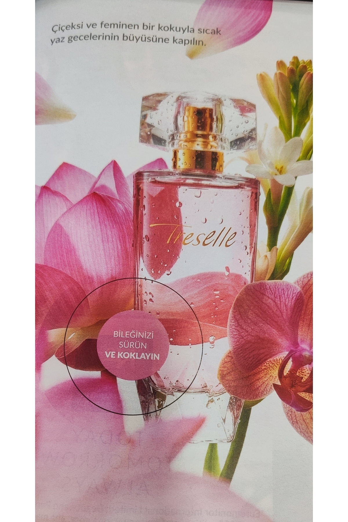 Avon TRESELLE EDP 50 ML - Fiyatı, Yorumları