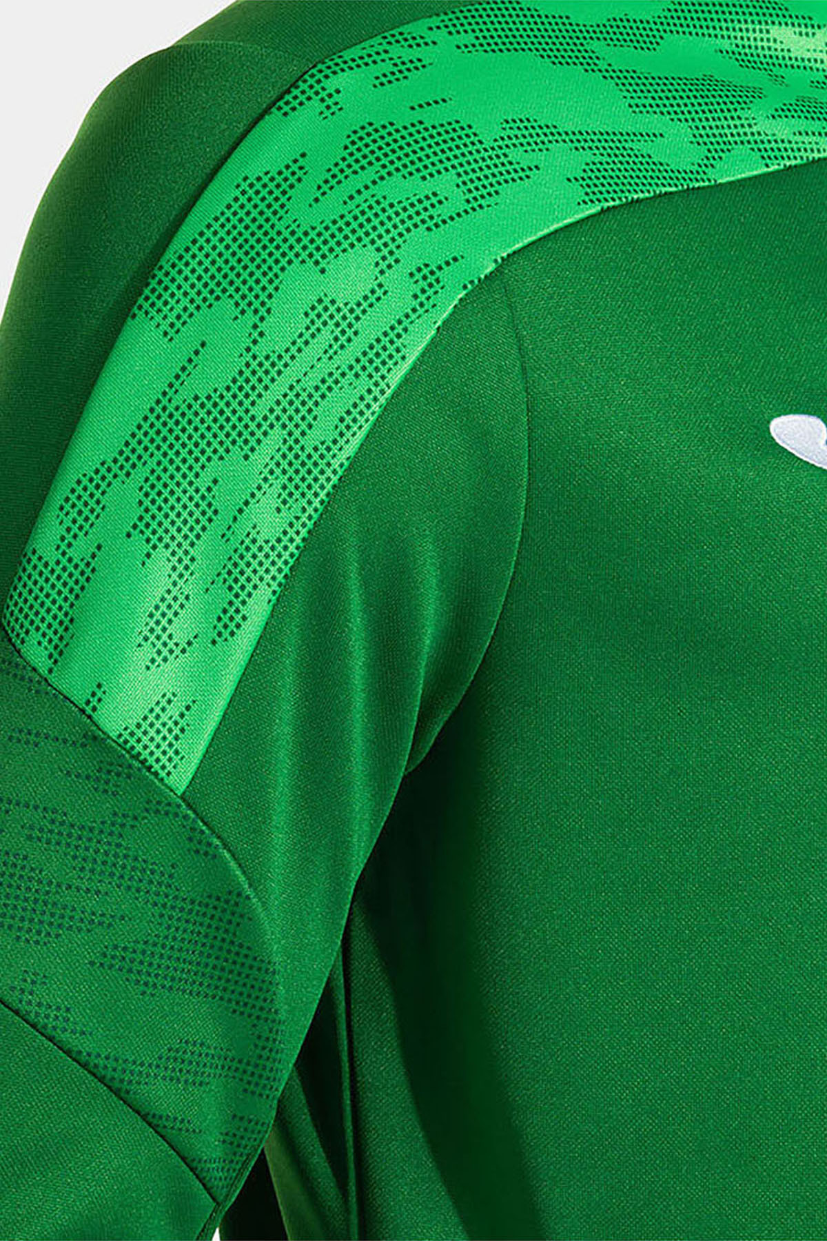 Erkek Günlük Eşofman Takım Championship Tracksuit 104201.451 — رنگارنگ — تصویر 4 از 6