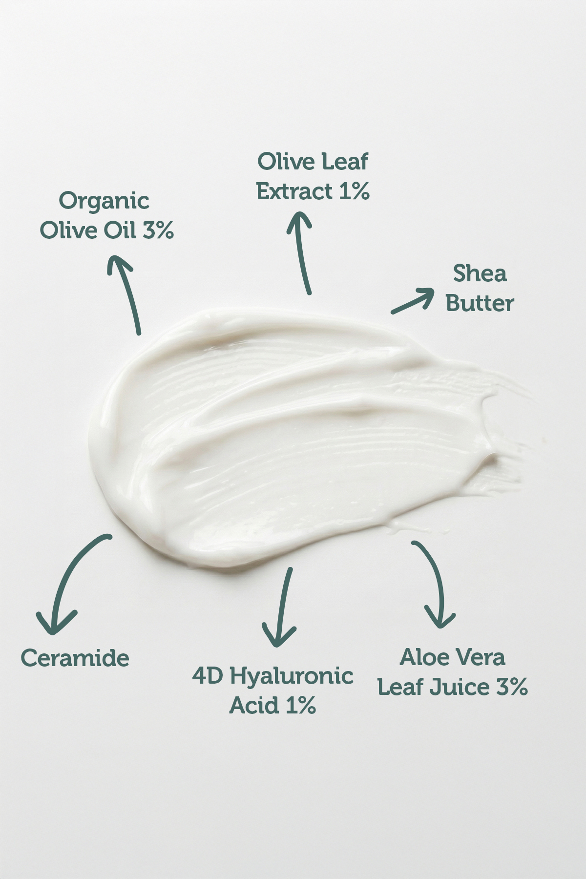 El ve Vücut Losyonu 300ml – Yoğun Nemlendirici Bariyer Destekleyici Vegan (%3 Organik Zeytinyağı) — VIT100 — تصویر 2 از 6