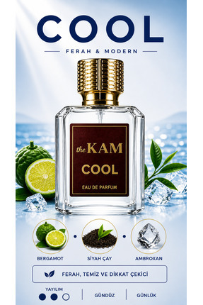 thekam Cool Fresh Kalıcı Erkek Parfümü – Temiz Ferah Yaz Parfümü Günlük Kulla...