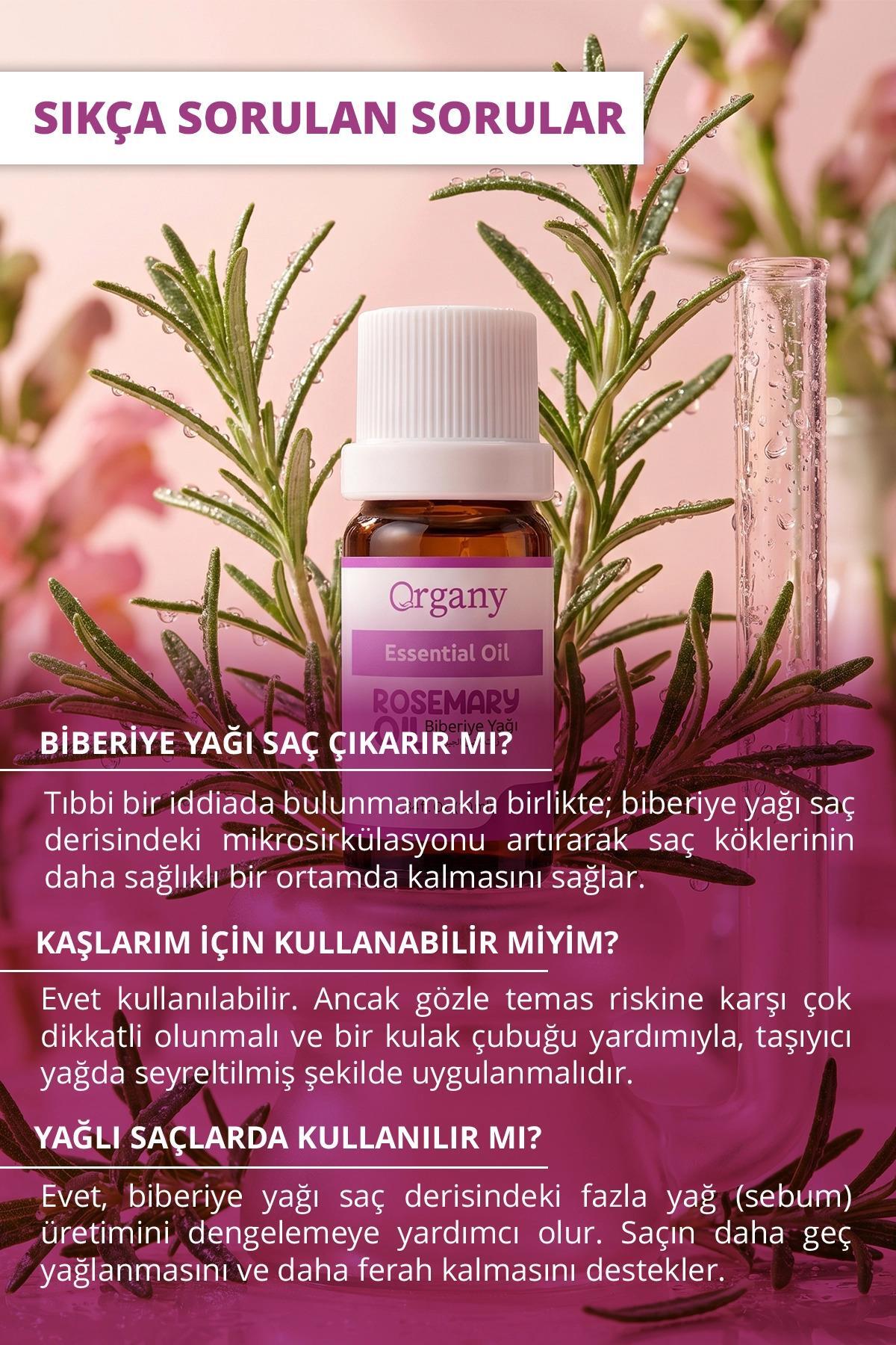 Saç Köklerini Besleyici Biberiye Yağı %100 Doğal Saç Derisi Bakım Yağı Rosemary Essential Oil 10 ml — OGEY10TOO — تصویر 4 از 5