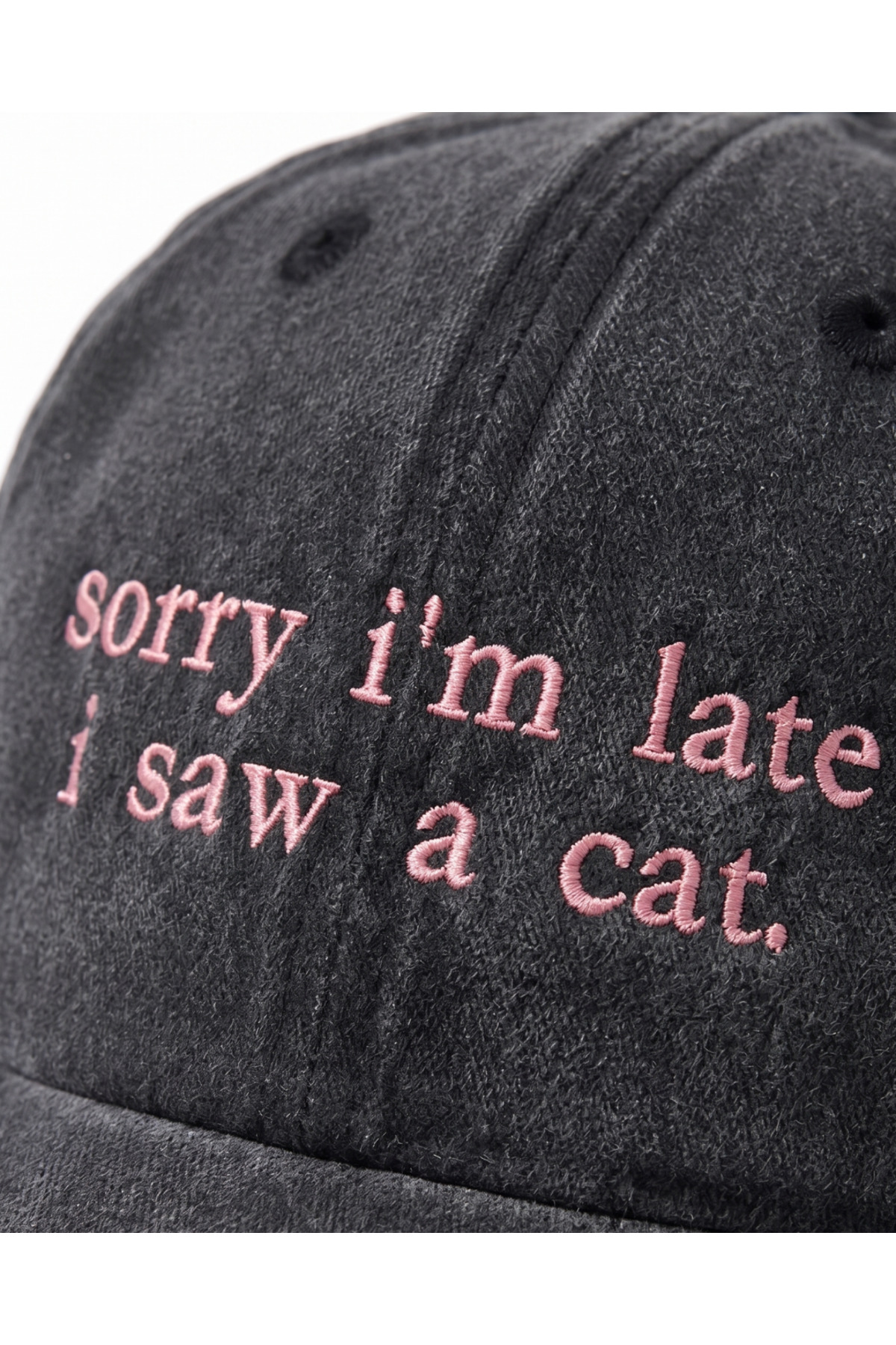 Tresore ''Sorry I'm Late I Saw A Cat'' Nakışlı Yıkamalı Şapka / Kedi Nakışlı Washed Cap görsel 3