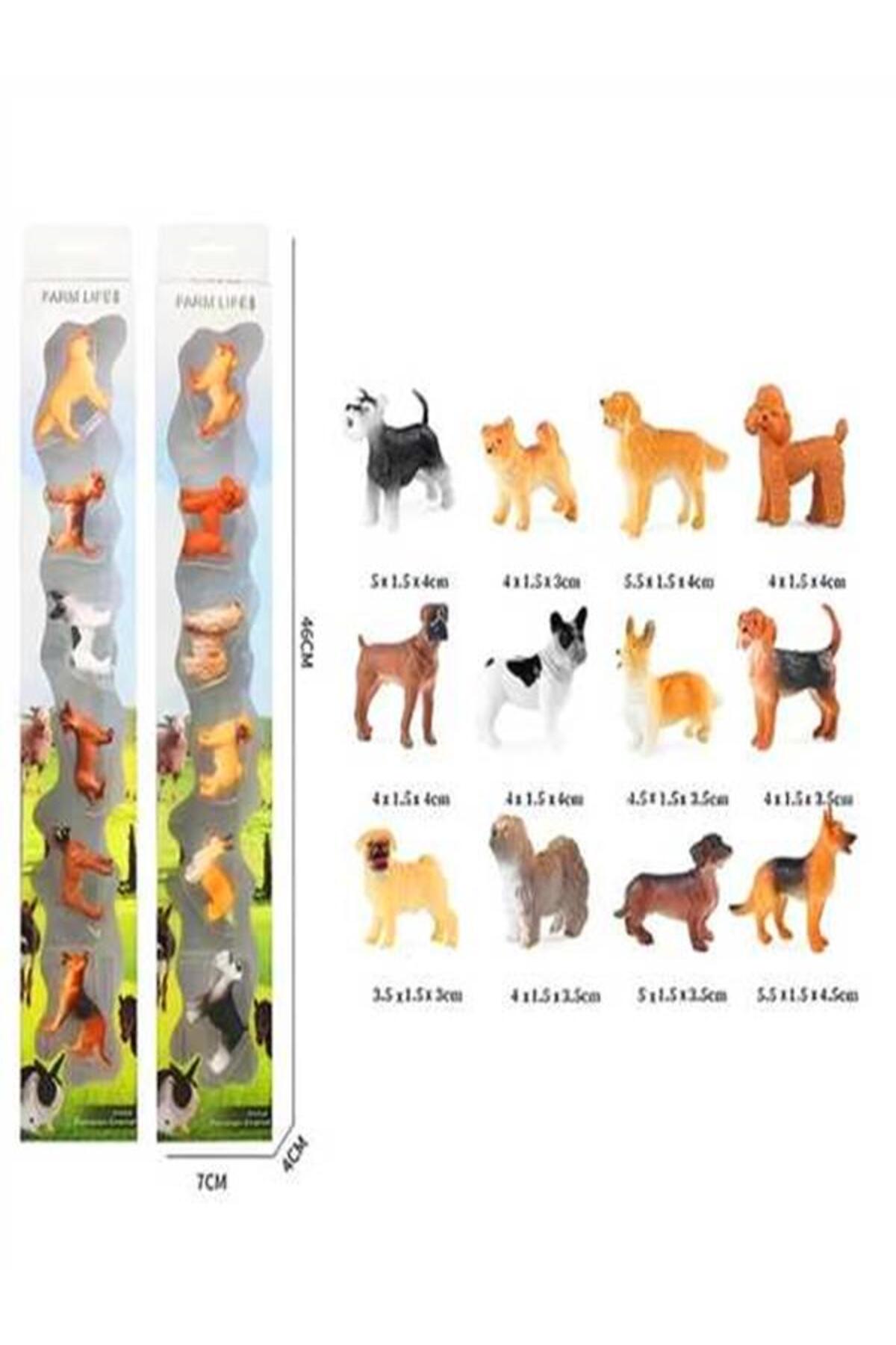 THE HUMAN FIGURE ・ANIMALS 2冊セット Banadabak Farm Life Kz956-019F Köpek Figür Set 6 Parça Kutulu 3+