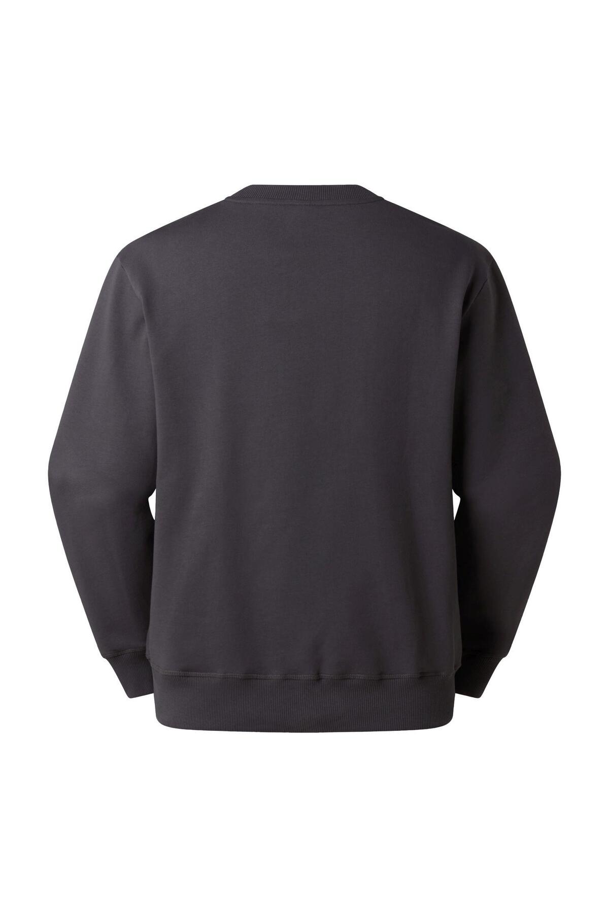 THE NORTH FACE U ESSENTIAL LIGHT RELAXED CREW Unisex Sweatshirt NF0A8GQCRHI1 Gri-XL görsel 5