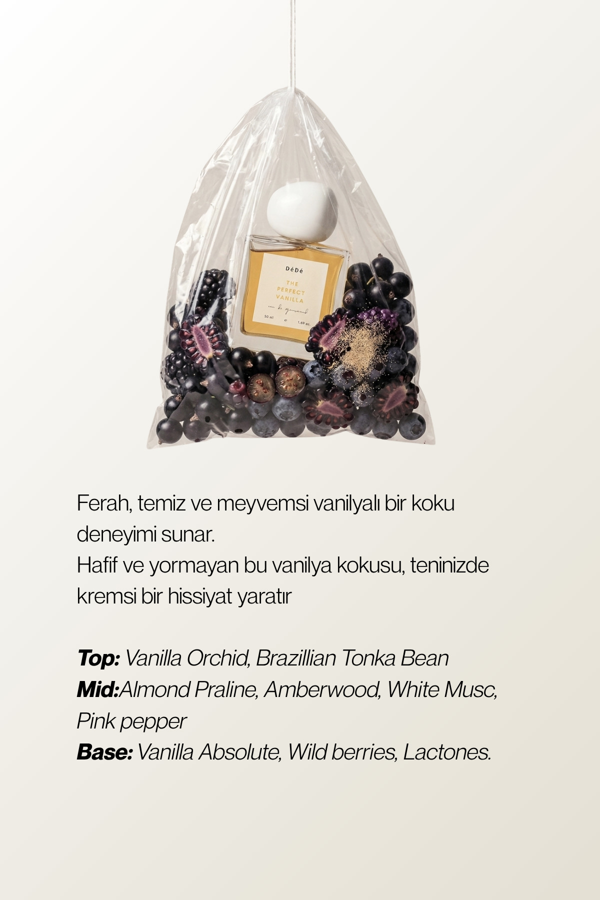 Vanilya & Matcha Parfüm Seti | Tatlı Meyvemsi Vanilya + İncir Matcha Meyvemsi Çay Parfümü — TPFMMP50x2 — تصویر 4 از 6