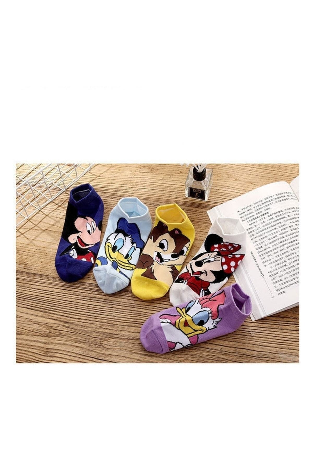 çorapkolik 5 Çift Kadın Karikatürlü Pamuklu Moda Patik Çorap görsel 3