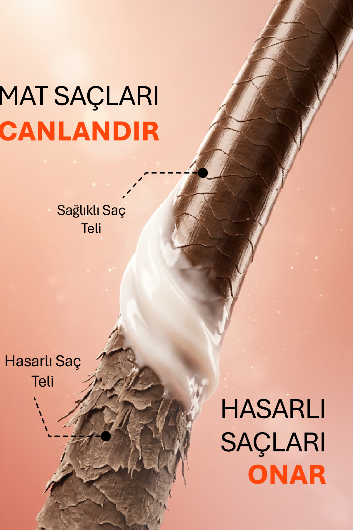 Badem Yağı İçeren, İşlem Görmüş Yıpranmış Saçlara Özel Onarıcı Saç Kremi 250 ML — AJ.02.00005 — تصویر 4 از 8