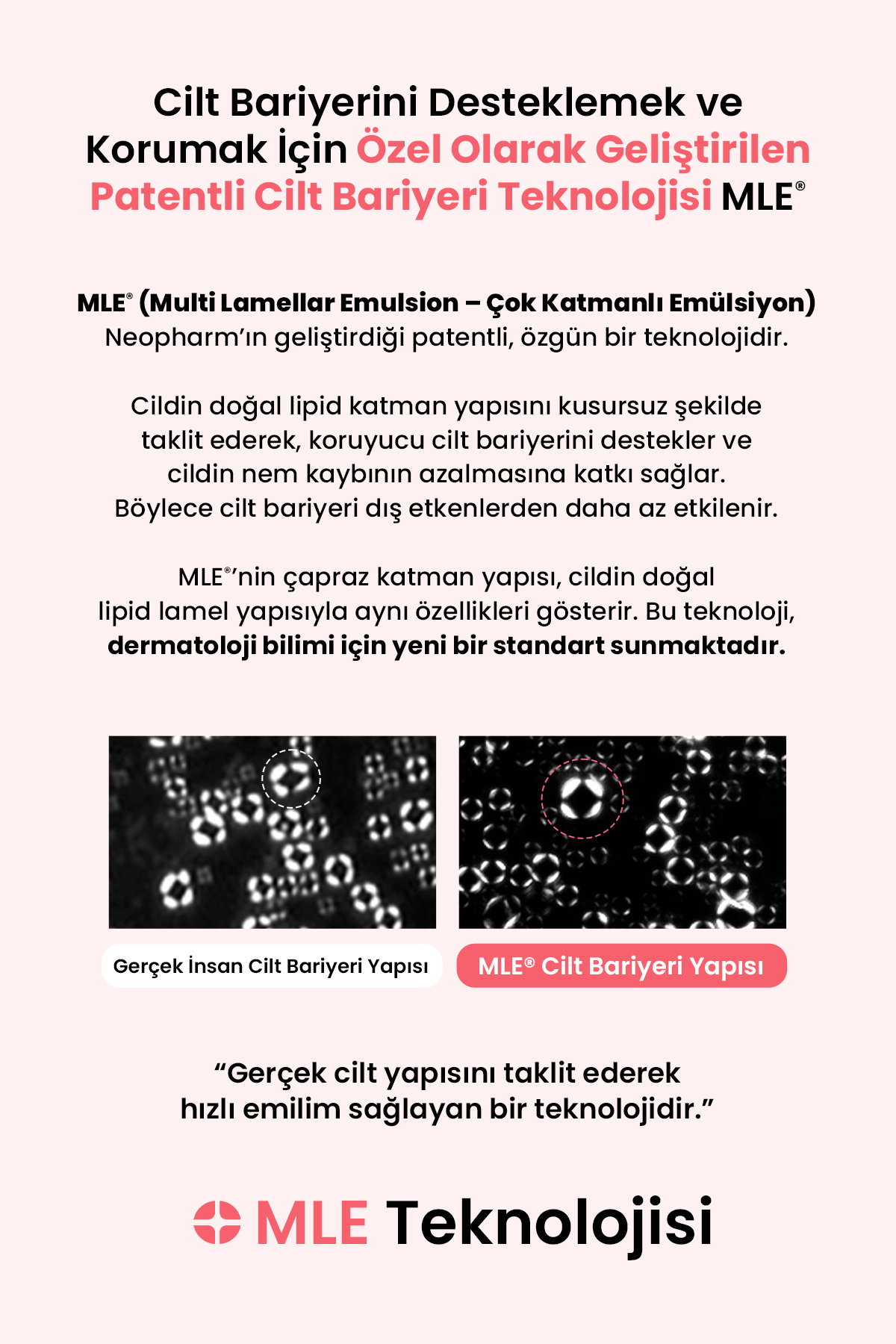 Akneye Eğilimli Ciltler İçin Yağ-Nem Dengesi Sunan Temizleme Köpüğü Pimprove Foaming Cleanser — F79834 — تصویر 5 از 9