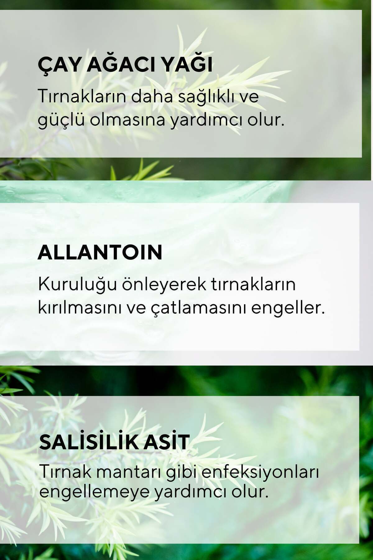 El ve Ayak Tırnak Bakım Serumu Çay Ağacı , Salisik Asit Özlü Serum 30 ml — CL0001 — تصویر 5 از 6