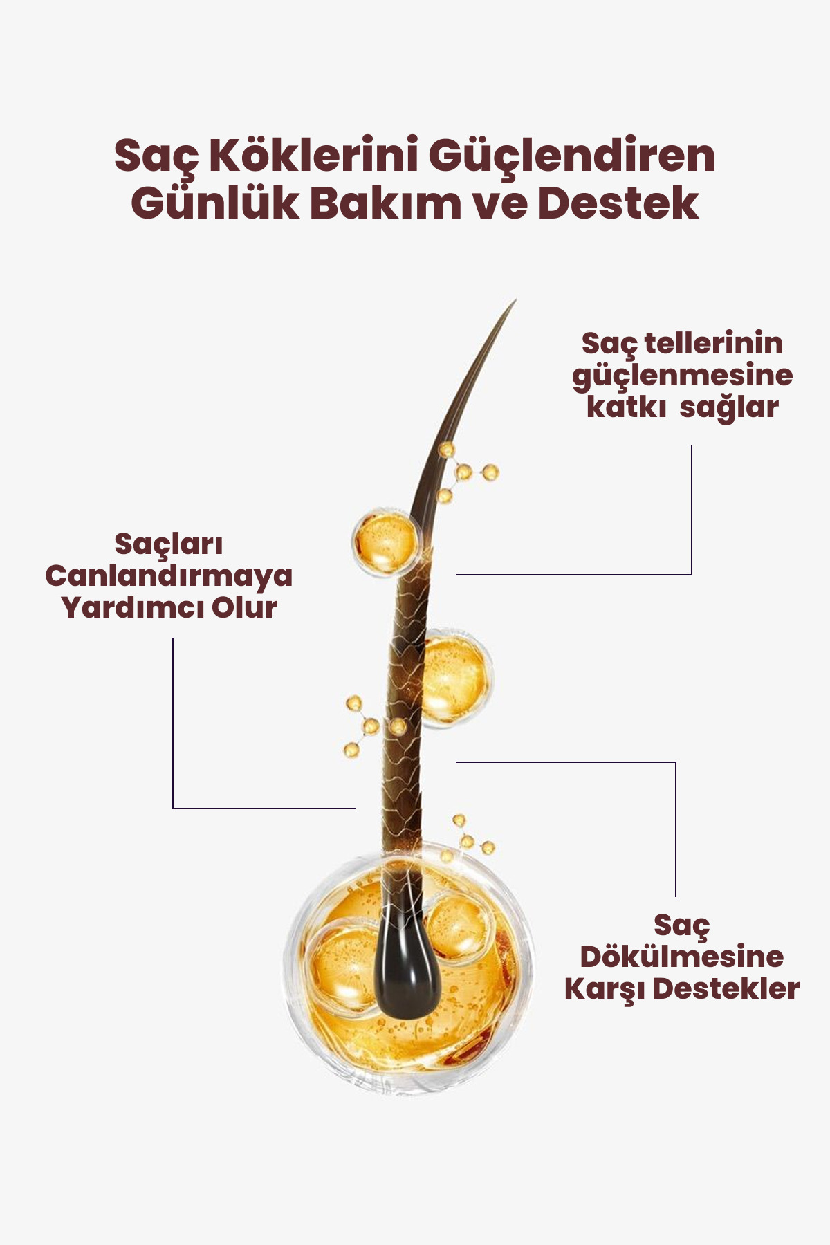 اسپری ضد ریزش مو بیوتین و کافئین ۱۰۰ میلی لیتر - تقویت کننده و احیا کننده مو — antihairlosspra01 — تصویر 2 از 5