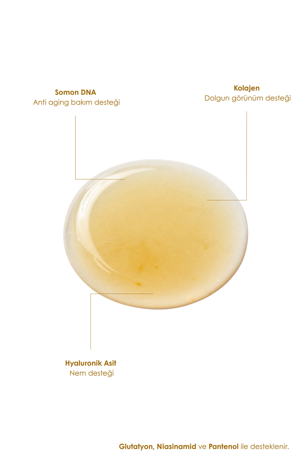 Anti Aging Yüz Serumu | Yaşlanma Karşıtı Bakım ve Dolgun Cilt Görünümü İçin | Somon DNA & Kolajen | 50 ml — antiagingyüz20 — تصویر 4 از 6