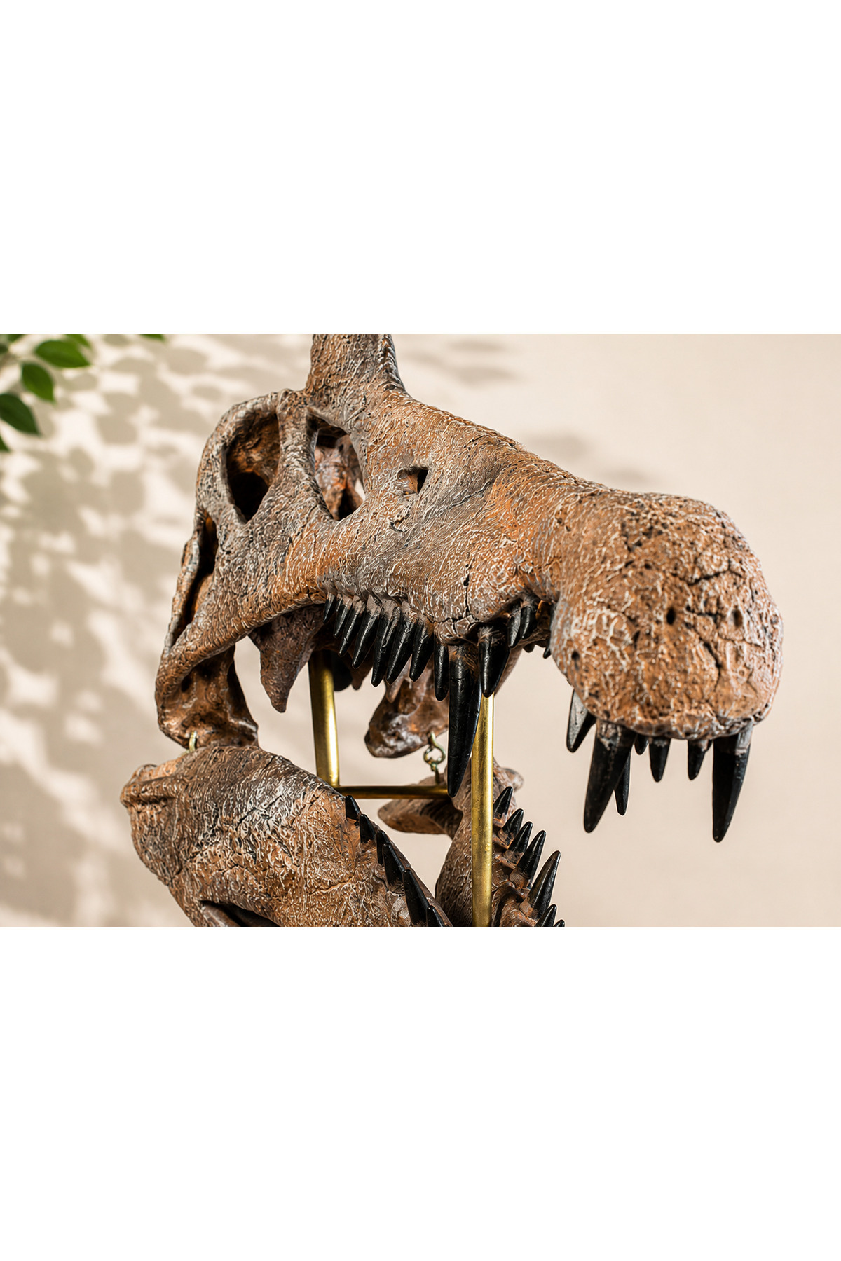 halusbushcraft Spinosaurus Dinozor Fosili Replikası (Müze