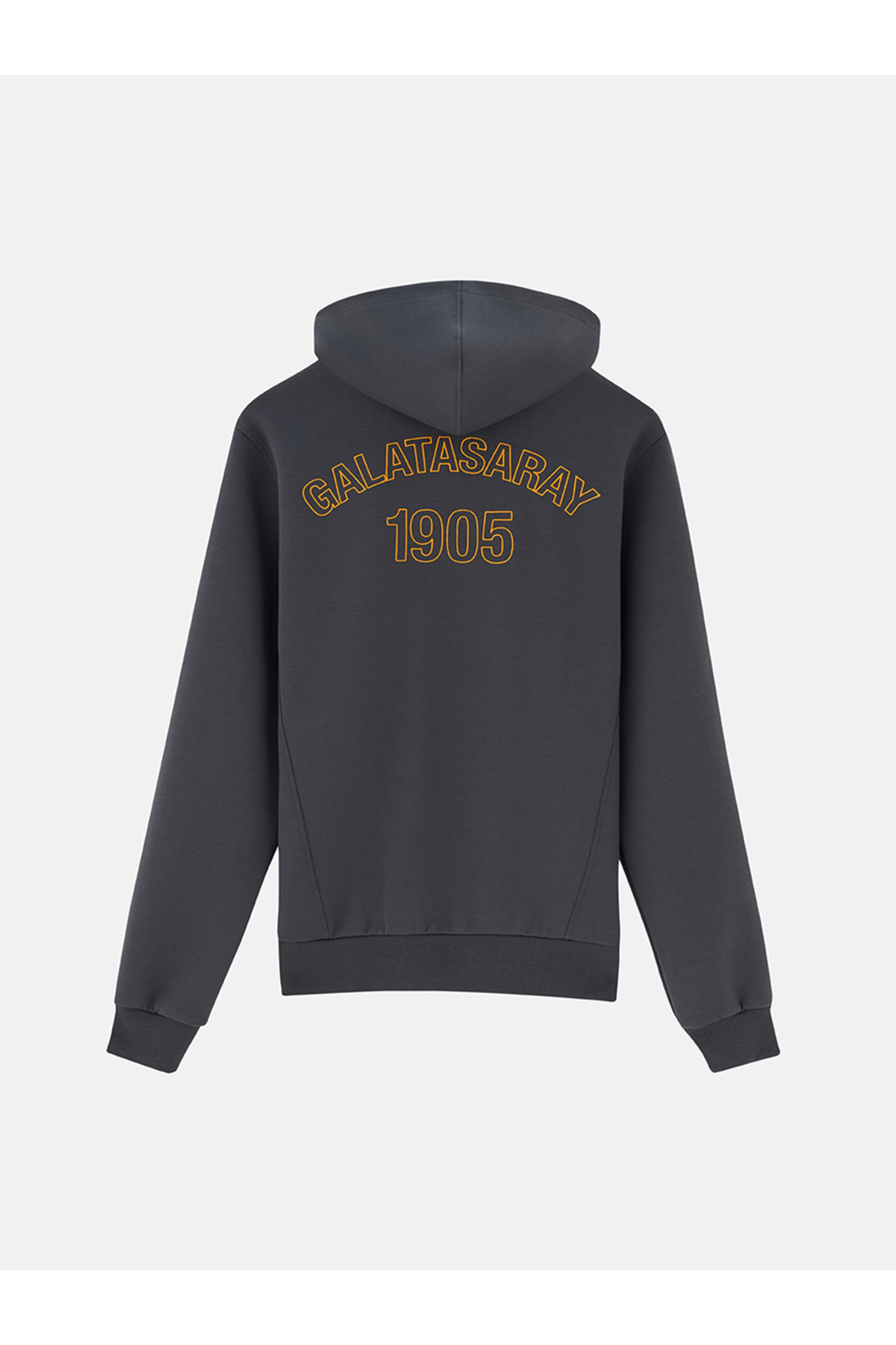 GSStore Galatasaray & Reflect Studio Kadın Hoodie RSK2630 görsel 3