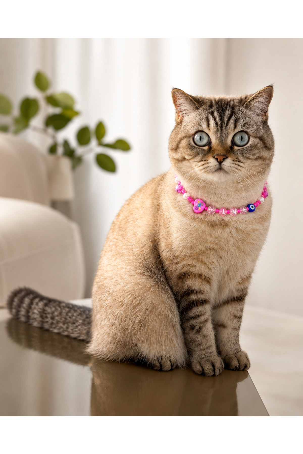 Vina Petshop Vina Beads İsme Özel Kedi Köpek Kolyesi - İsimli Tasma