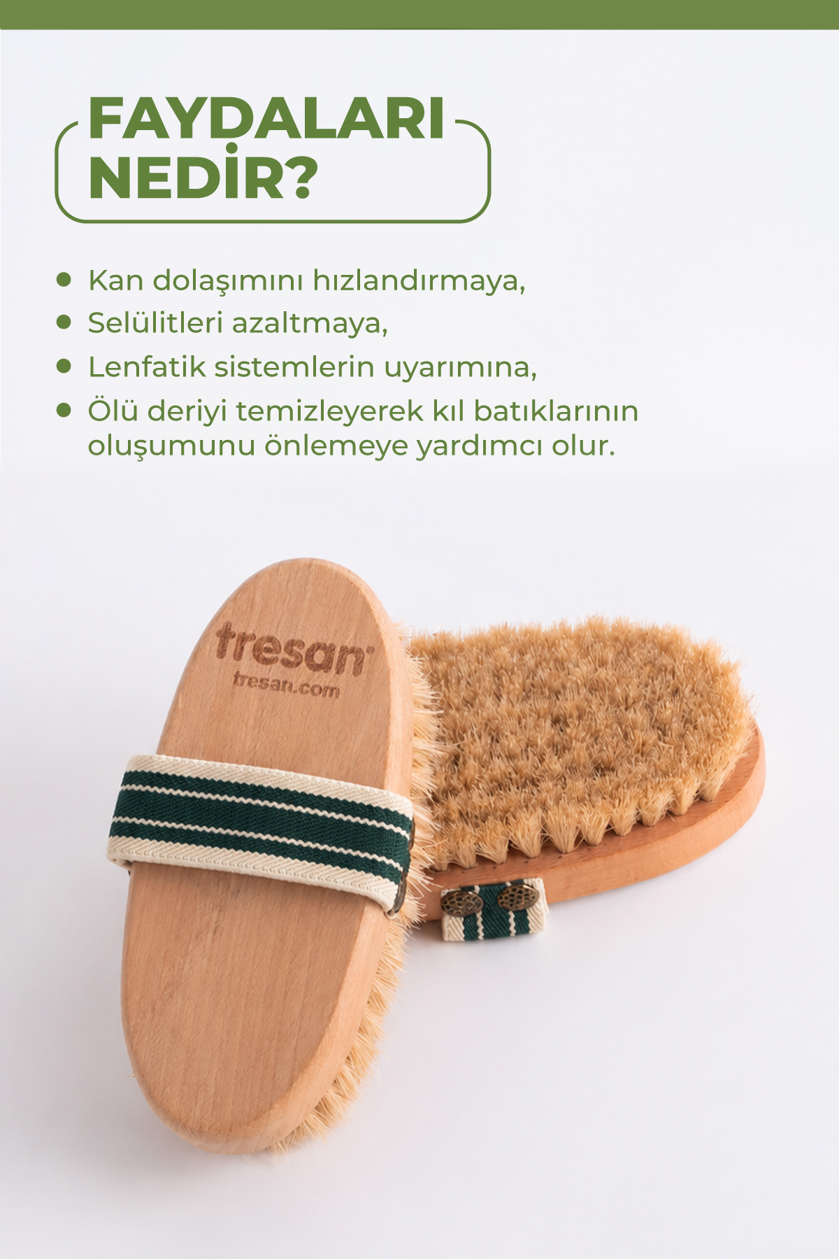 Anti Cellulite Brush Doğal At Kılı Fırçası — 90231 — تصویر 4 از 6