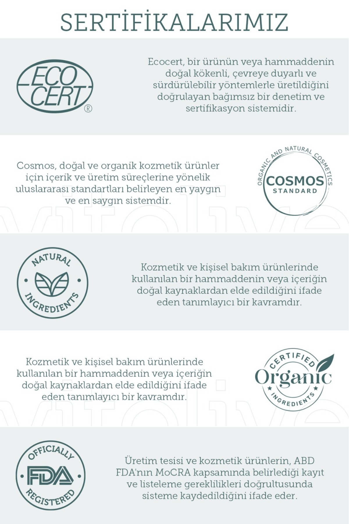 Vücut Bakım Yağı 100ml – Hızlı Emilen Yoğun ve Uzun Süreli Nemlendirici Vegan (%10 Organic Olive Oil) — VIT102 — تصویر 6 از 6