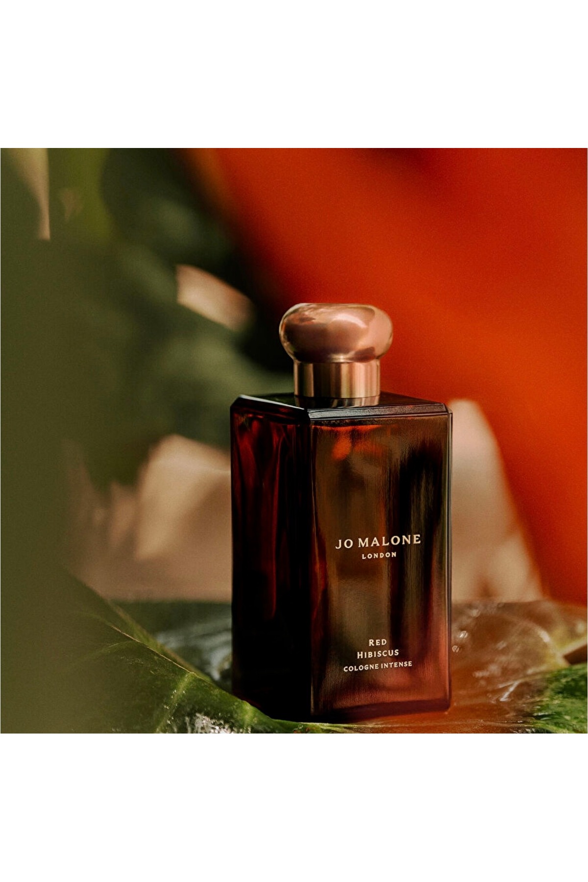 Jo Malone London Red Hibiscus Cologne Intense 100 ml Parfüm