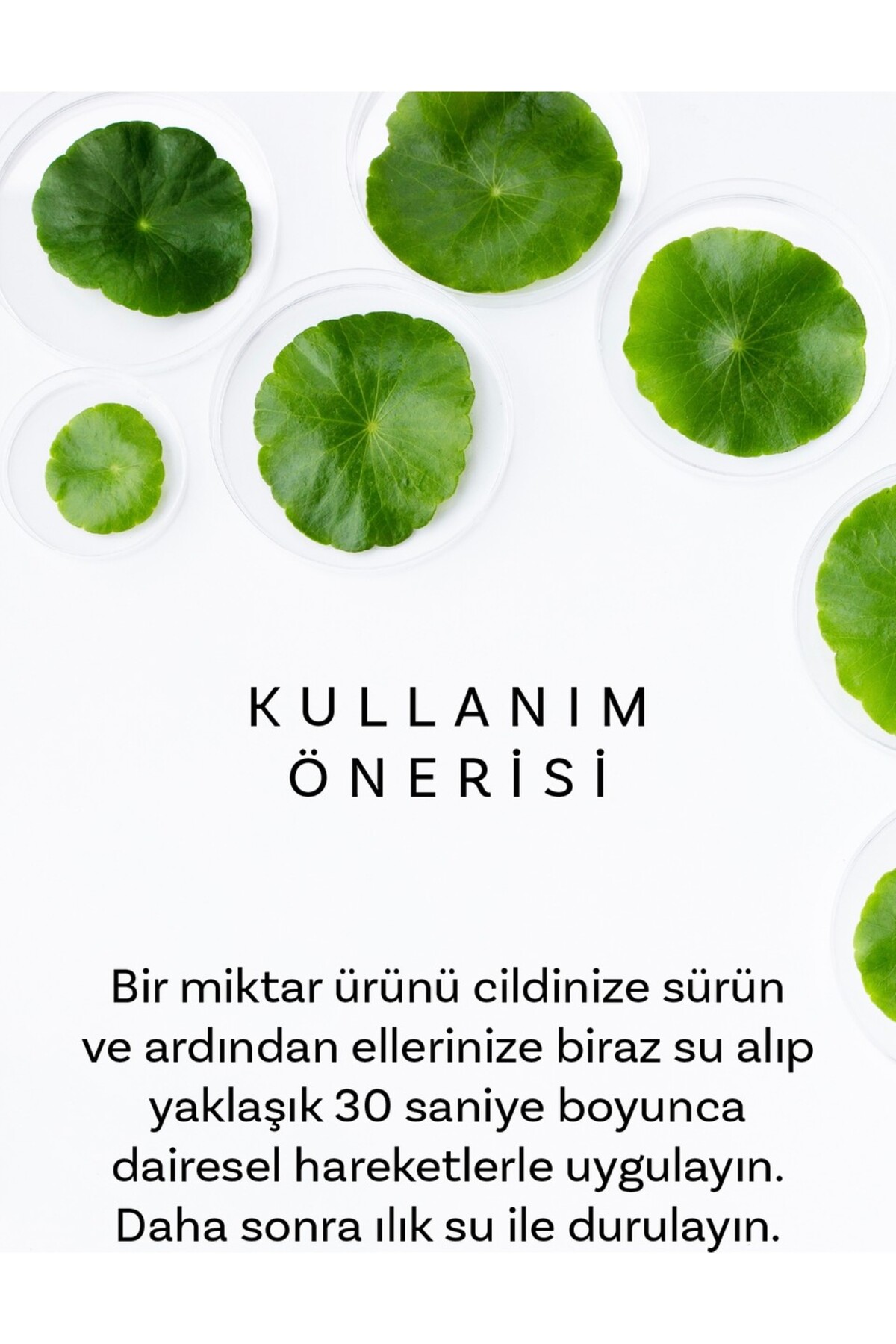 Cıca X Mide Centella Asiatica Özlü Temizleme Yağı ve Serumu — DERMALCİCASET02 — تصویر 8 از 8