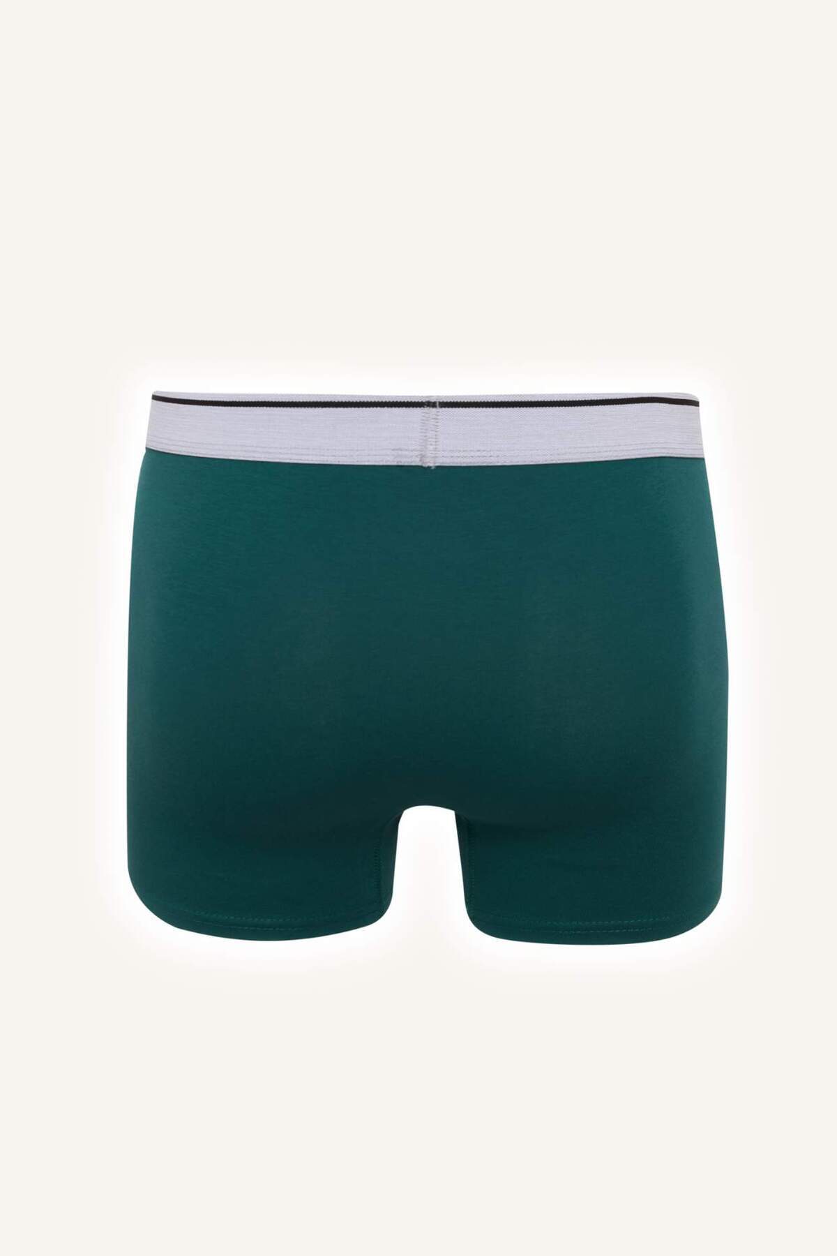 DeFacto Regular Fit Desenli 3'lü Boxer Set H4517AX26SP görsel 3