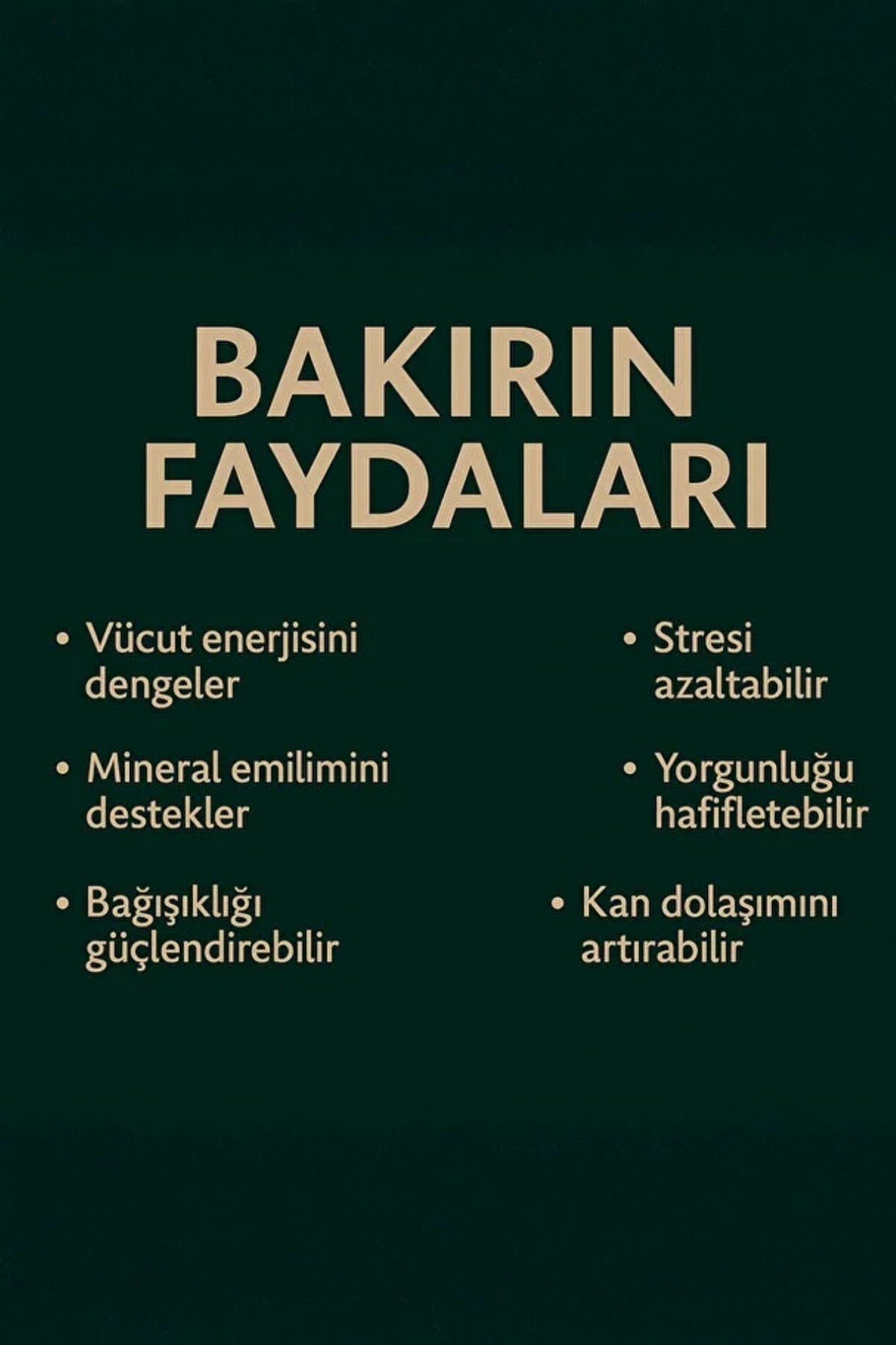 İyyaKee Erkek Kadın Bakır Bileklik Üstü Çelik Zincir Mıknatıslı Model Saf Bakır Bileklik görsel 6