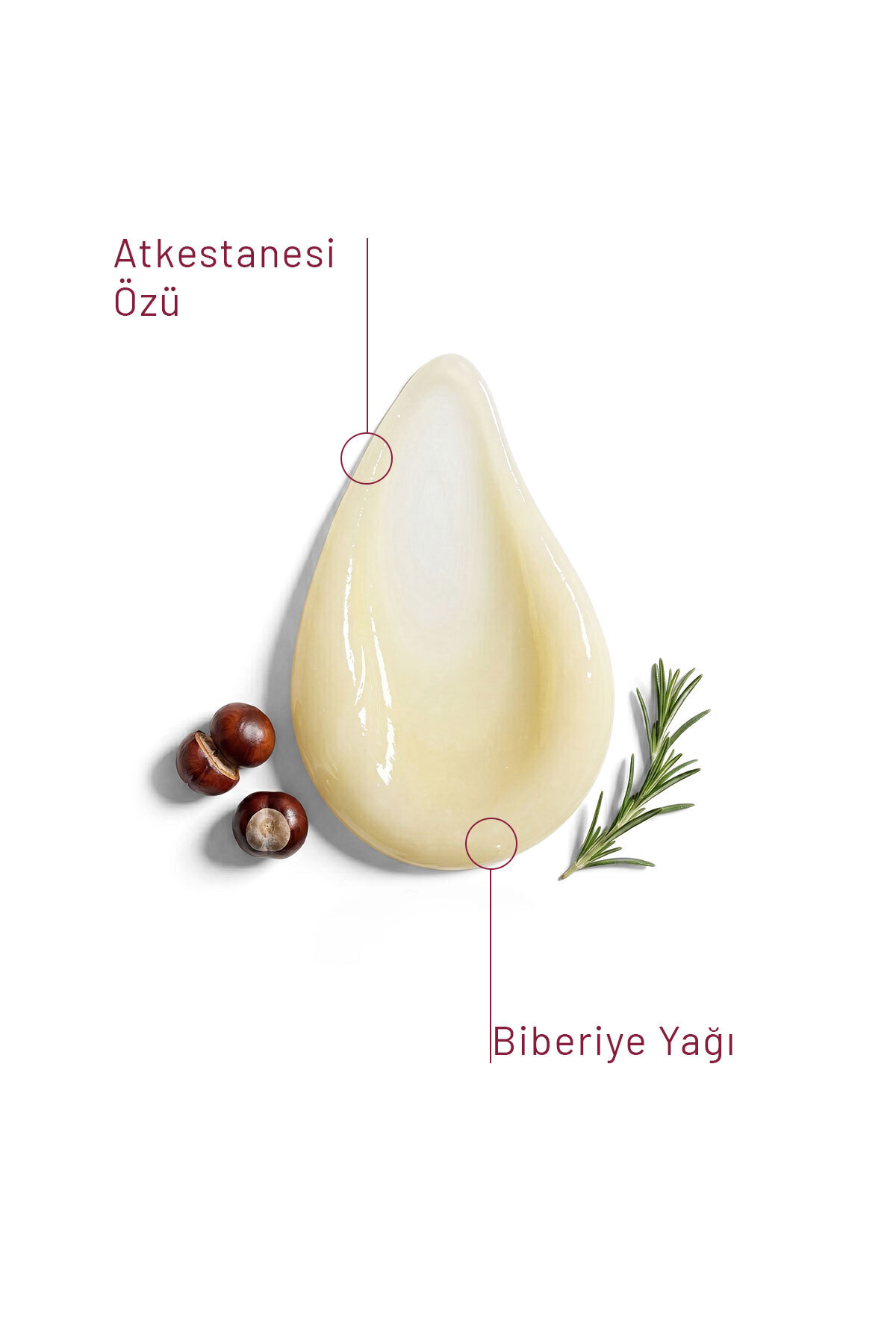 Guarana Özlü Sıkılaştırıcı Vücut Bakım Jeli At Kestanesi & Biberiye 100 ml — FN2327 — تصویر 3 از 4