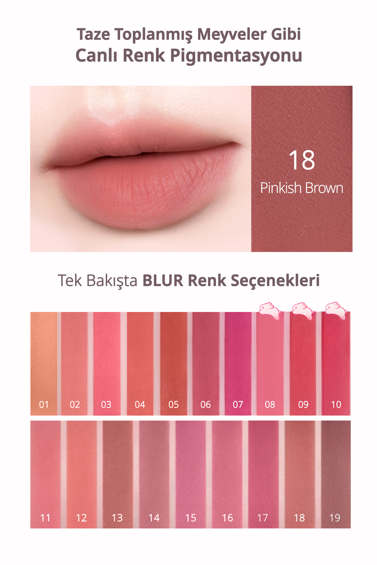 Gün Boyu Kalıcı Pürüzsüz Matlık Sunan Tint Over Blur Tint (18 Pinkish Brown) — صورتی 111151 — تصویر 4 از 9