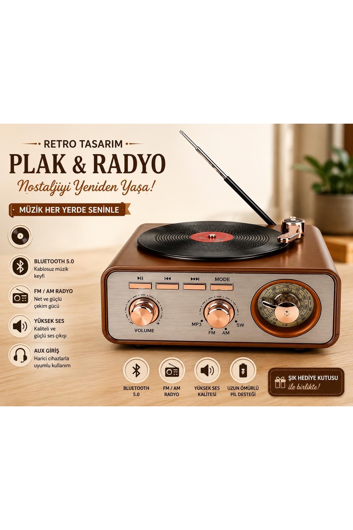 Plak Görünümlü Retro Radyo ve Bluetooth Hoparlör