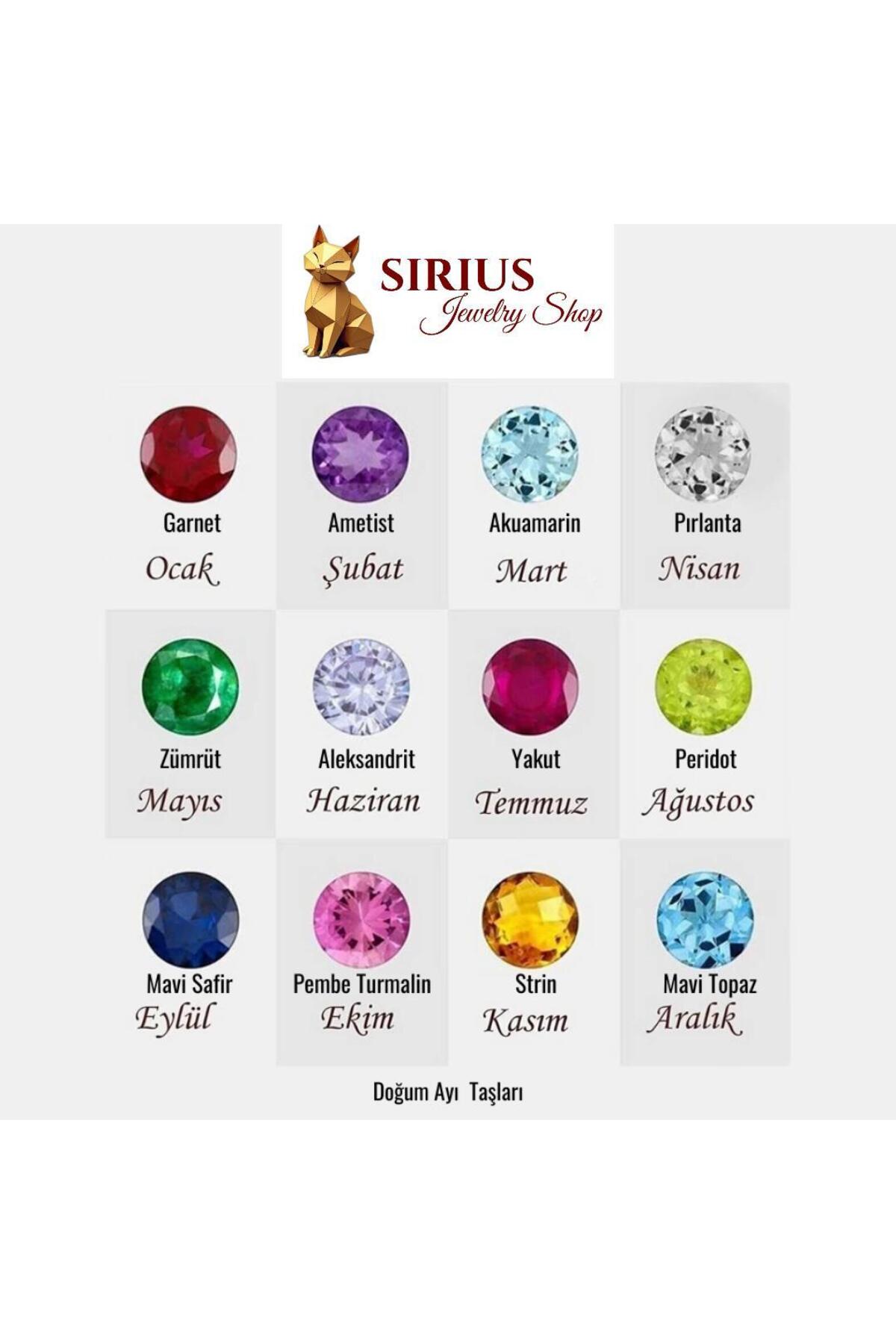 sirius jewelry 925 Gümüş | Işıltılı Doğum Taşlı Harf Kolye görsel 5