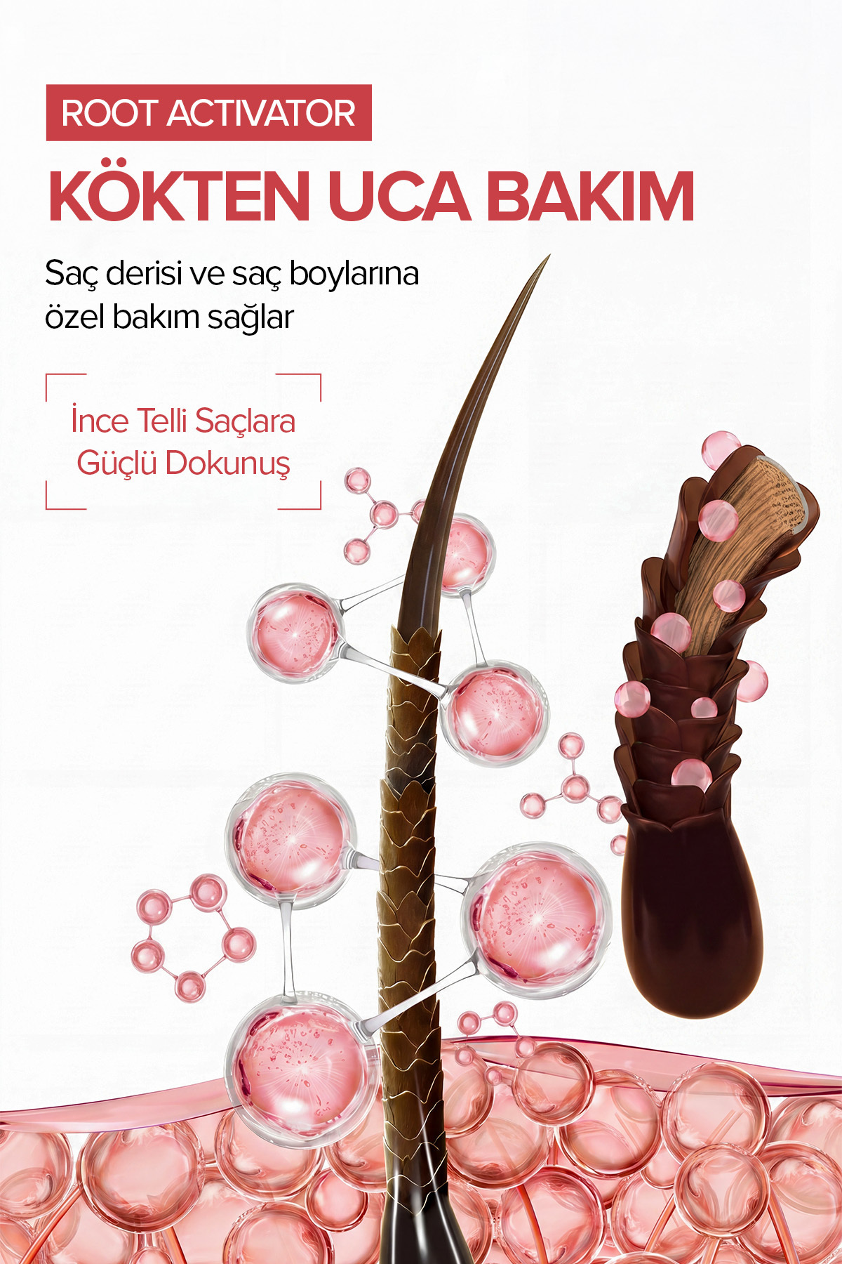 Saç Kalınlaştırıcı Serum | Root Activator 100 ml | Saç Köklerini Güçlendirmeye Yardımcı Formül — URW74 — تصویر 3 از 5