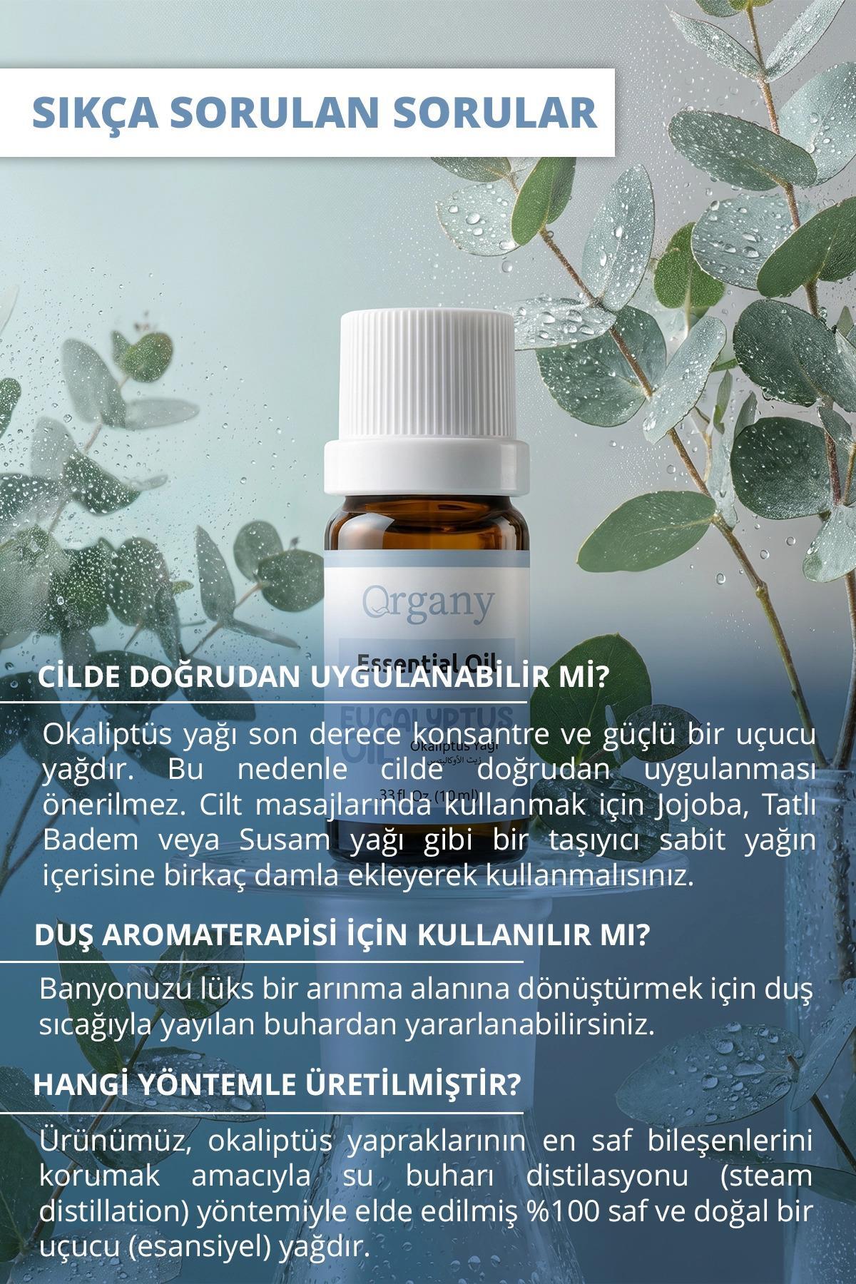 Okaliptus Yağı %100 Doğal Temiz Hava Aromaterapi Yağı Eucalyptus Essential Oil 10 ml — OGEY10OKO — تصویر 4 از 5