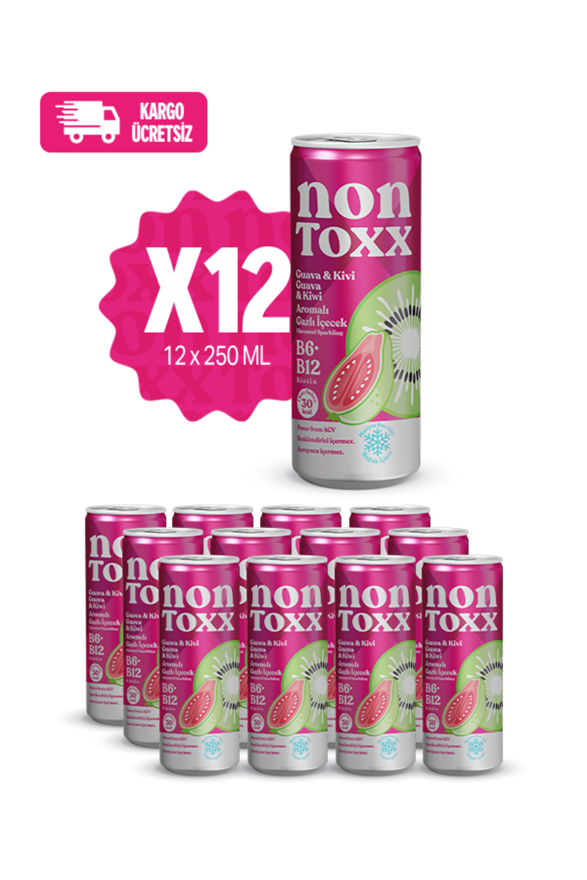 nontan出品 NON TOXX Guava & Kivi Aromalı Gazlı İçecek 250 ml 12 li Paket