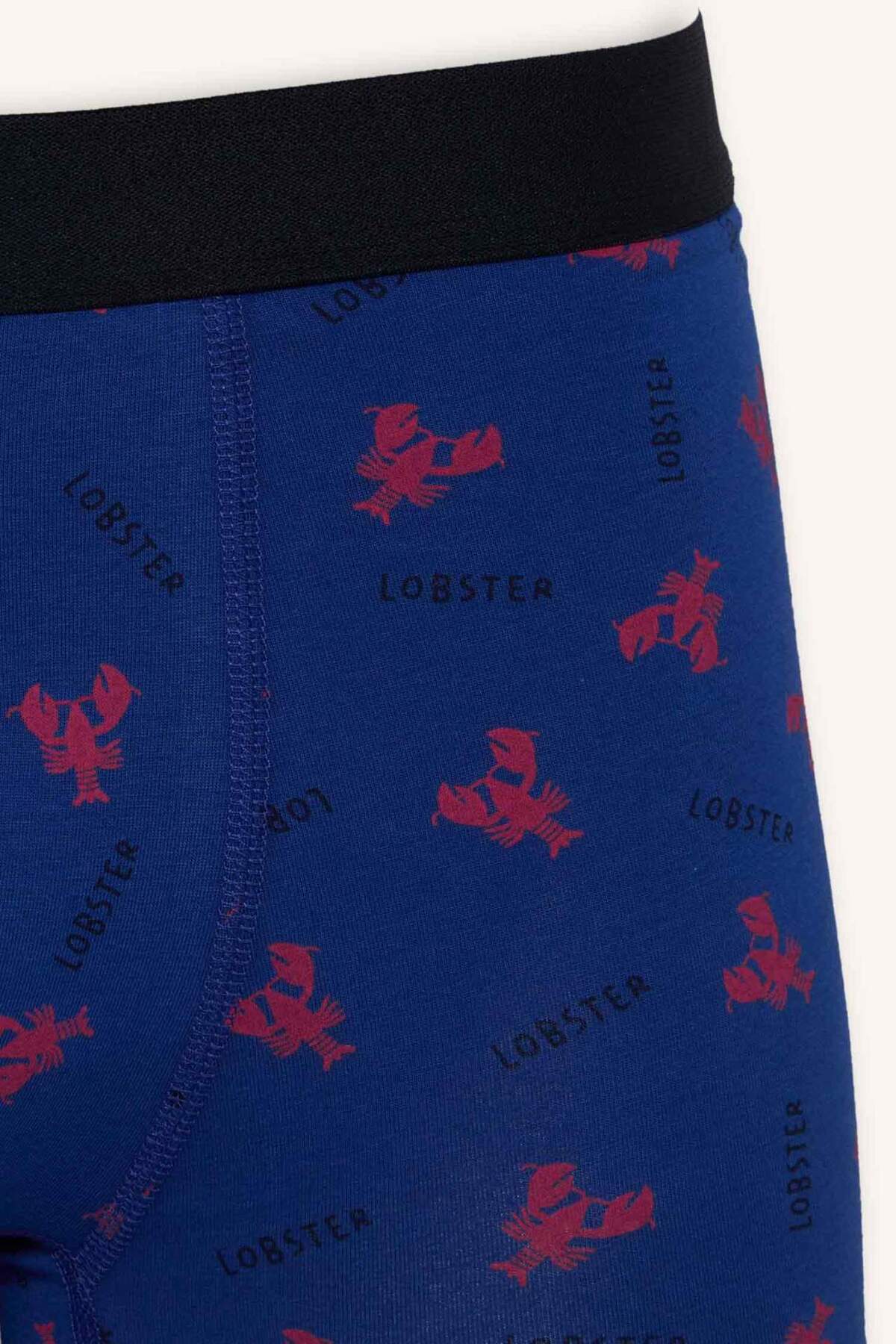 DeFacto Regular Fit Hayvan Baskılı 3'lü Lacivert Boxer Seti C3291AX24SM görsel 5