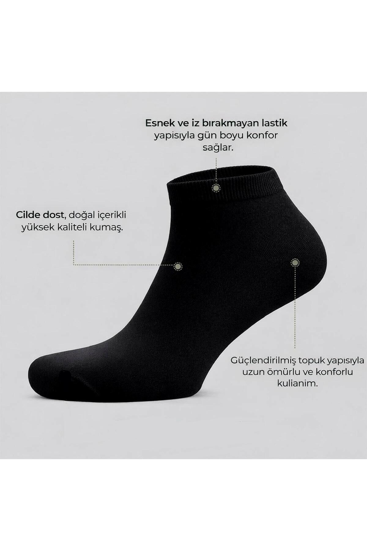 Sky Socks 5'li Erkek Bambu Konforlu Terletmez Koku Yapmaz Renkli Patik Çorap görsel 4
