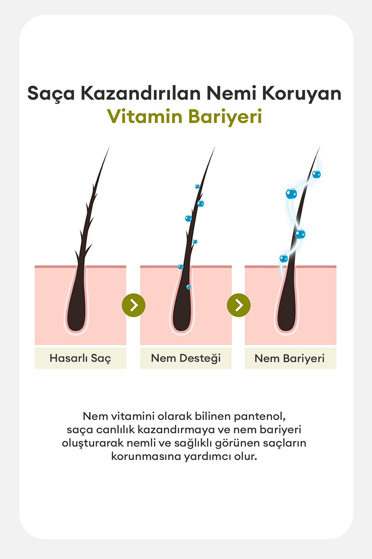 Elektriklenen Saçlara Yoğun Nemlendirici Durulanmayan Saç Kremi Hair Moisture Cream — 9530 — تصویر 6 از 9