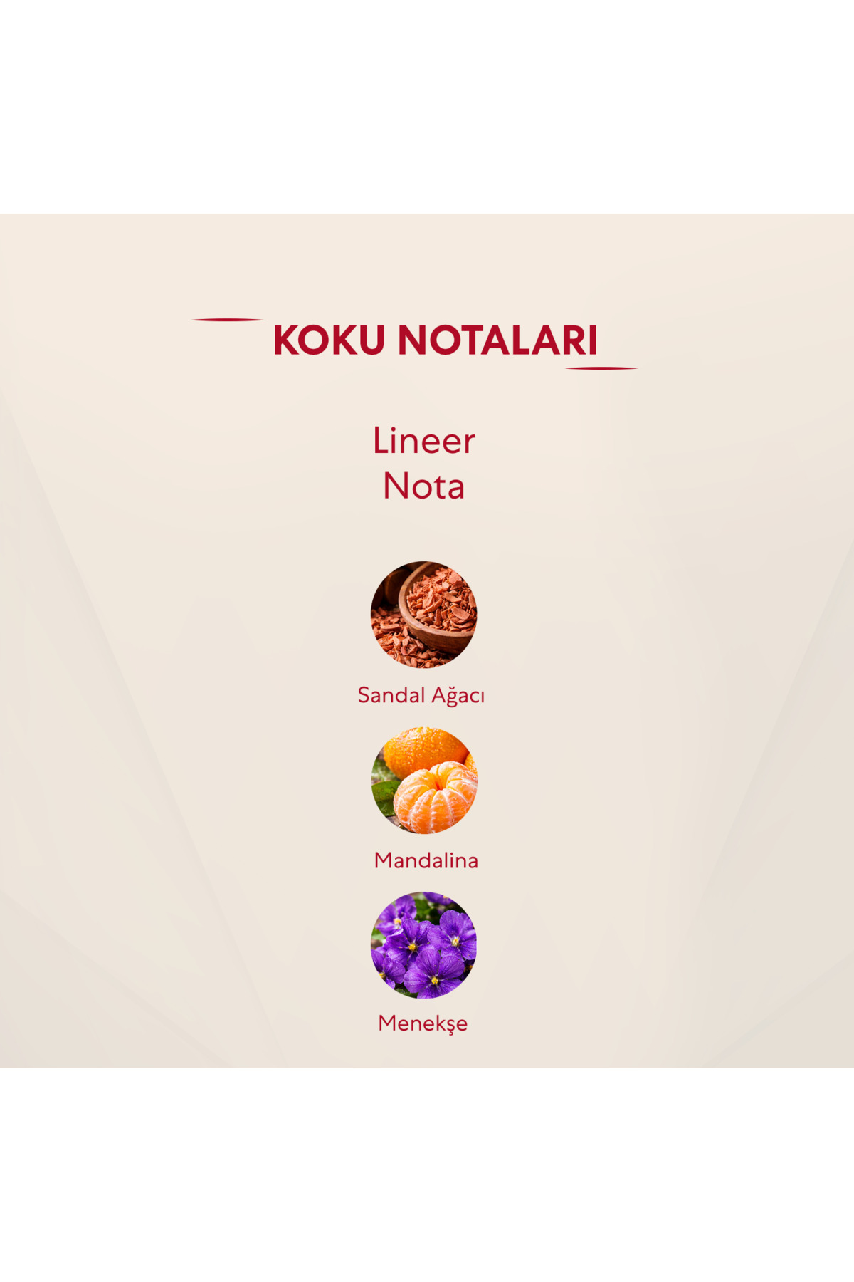 393 Kadın 50 Ml Parfüm Edp Floral 50 ml (2 Adet) — newVİCRORİASYENİSET — تصویر 2 از 3