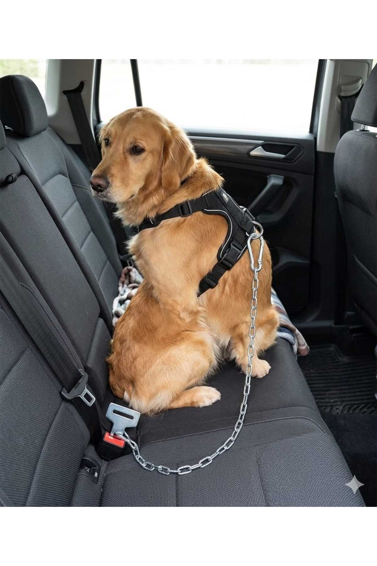 hebmeyy Zincir Evcil Hayvan Araç Emniyet Kemeri, Kedi Köpek Araba Oto Tasması, Oto Aksesuarı, Kedi Köpek Emniyet Kemer