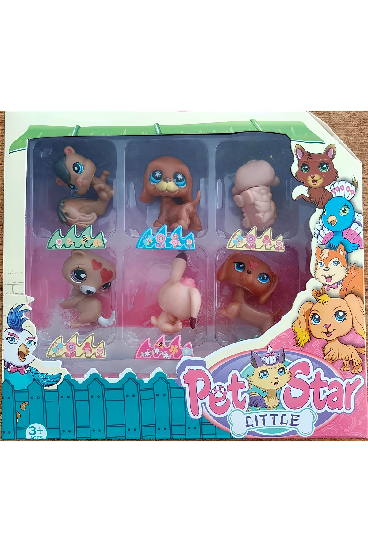 KIZILKAYA 6'Lı Minik Pet Star Seti KZL-3046A3 - Fiyatı, Yorumları